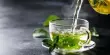 Green Tea Extract improves Gut Health and Reduces Blood Sugar Levels