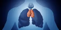 Scientists Create a Completely Functional Thymus from Human Cells