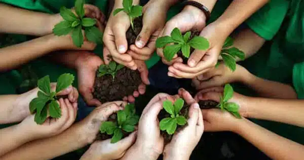 Importance of Environmental Education for Children