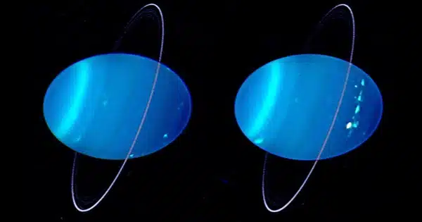 Webb’s Spectacular New View of Uranus Features Dazzling Rings and Dynamic Atmosphere