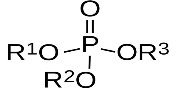 Boranophosphates