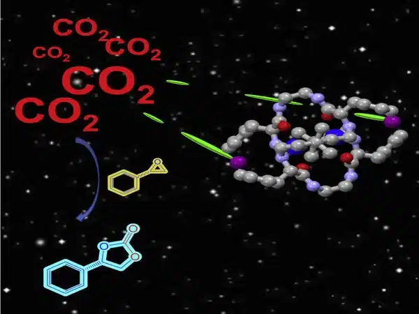 New catalyst transforms carbon dioxide into sustainable byproduct