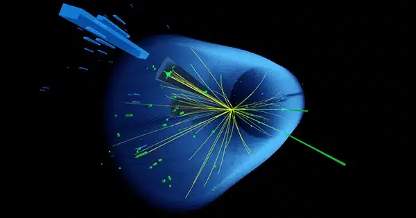 Physicists Discover the First Signs of Rare Higgs Boson Decay