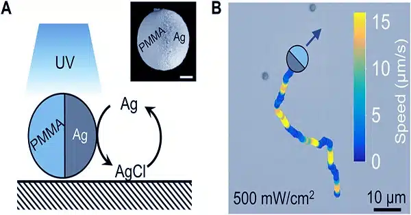 Researchers-find-that-the-development-of-colloidal-gels-uses-a-different-mechanism-from-the-formation-of-glass-1