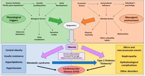 Type 2 Diabetes and Obesity Risk are Influenced by Genetic and Socioeconomic Factors