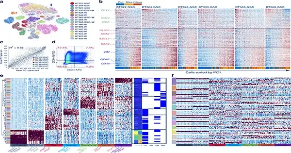 A-new-study-finds-fresh-information-regarding-the-process-of-cell-plasticity-1