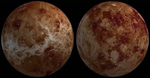 According to a Study, Venus’ Sulfuric Acid Clouds are Chilly Enough to Host RNA and DNA Bases