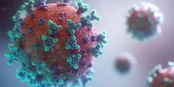 How human cells become Zika virus factories