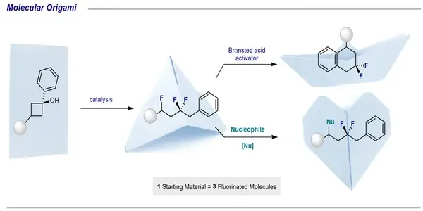 Chemists develop reaction cascade to produce fluorinated molecules