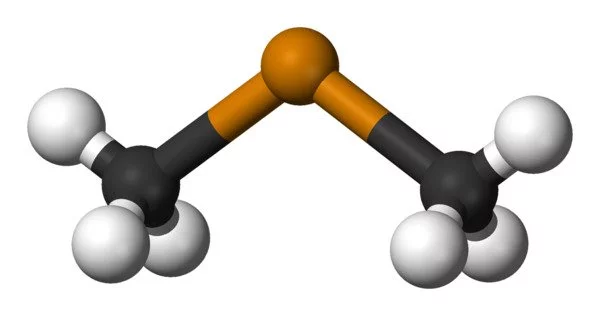 Dimethyl Telluride – an organotelluride compound
