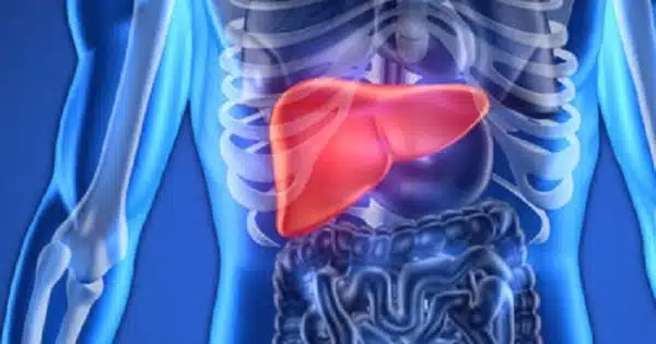 Living Donor Transplantation is a Safe Option for Liver Transplant Patients