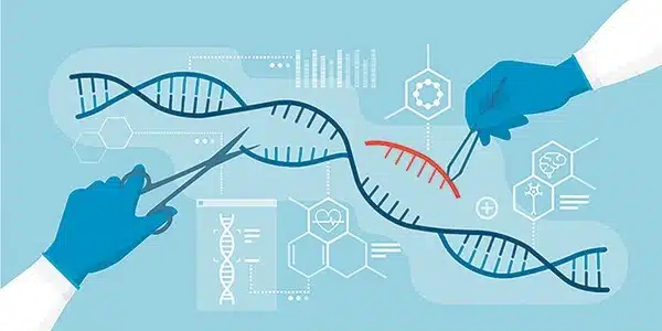 Researchers visualize activity of CRISPR genetic scissors