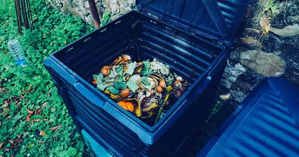 You can Compost New Biodegradable Plastics in Your Backyard