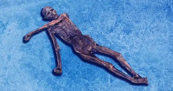DNA-Analysis-of-a-5300-year-old-Mummy-Reveals-That-We-Were-Horribly-Wrong-About-his-Appearance-1