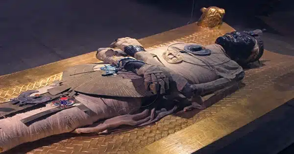 DNA Analysis of a 5,300-year-old Mummy Reveals That We Were Horribly Wrong About His Appearance