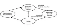 Ecosystem Valuation – an economic process