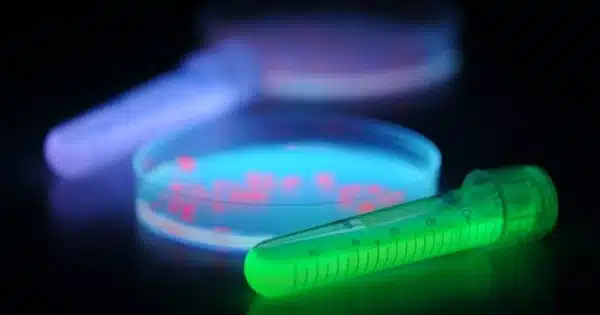 Using Fluorescent Nanotubes to Detect Bacteria and Viruses