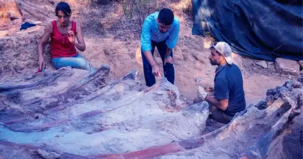A New Enormous Dinosaur Has Been Discovered In The Iberian Peninsula’s Lower Cretaceous Period