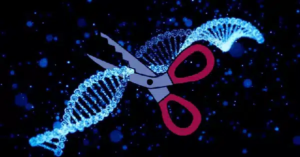 Chinese Scientists Claim That Their Gene Editing Technique is Superior to CRISPR