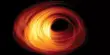 Detection of an Echo Radiated 200 Years ago by our Galaxy’s Black Hole