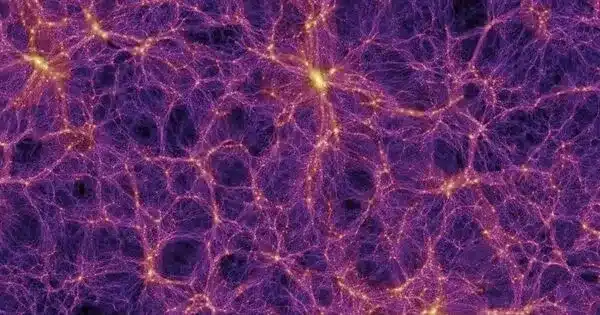 The Cosmic Web’s First Strands