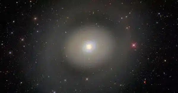 The Mystery of the Galaxy with no Dark Matter