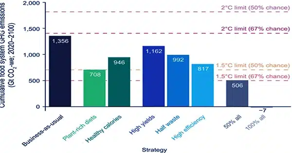 A-new-study-recommends-giving-abandoned-croplands-a-second-opportunity-to-help-with-climate-mitigation-and-food-security-1