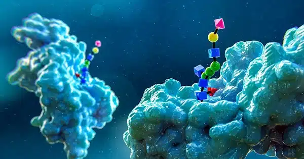 Direct Imaging of Glycan Sequences and Sites Attached to Proteins at the Single-Molecule Level