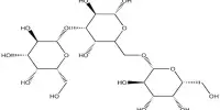 Galactogen – a polysaccharide of galactose