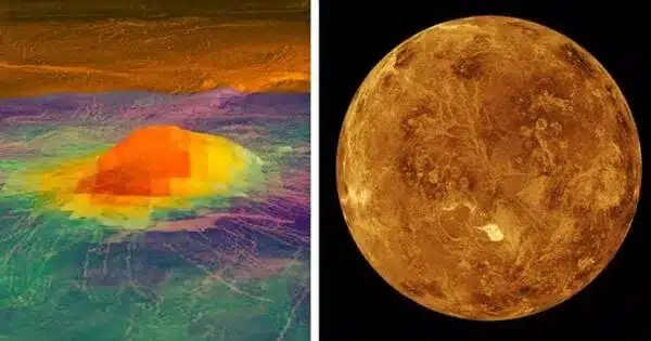 High-energy Impacts from the Past could have Spurred Venus Volcanism