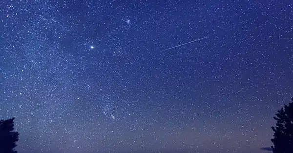 How To View the Orionid Meteor Shower, Which is Expected to Peak on Saturday