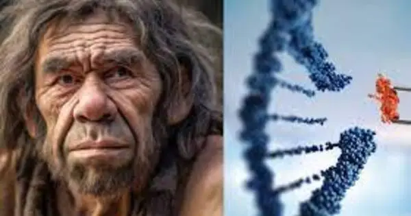 Neanderthal gene variants associated with greater pain sensitivity