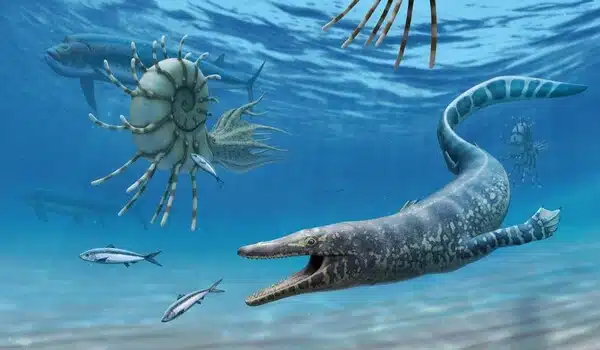 New species of mosasaur named for Norse sea serpent