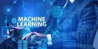 Even with Limited Training Data, Machine Learning Models can Produce Consistent Results