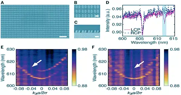 In-surface-lattice-resonance-metasurfaces-anisotropic-lattice-causes-high-Q-chiroptical-responses-1