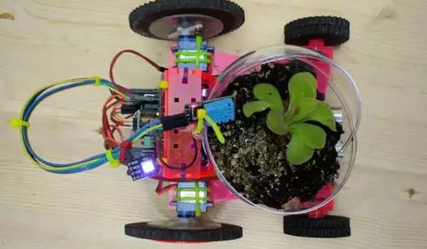 Plant-based materials give 'life' to tiny soft robots