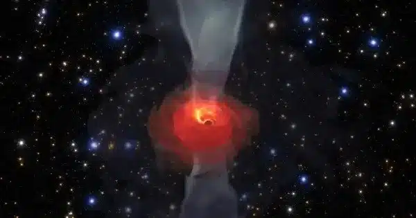 Radio Emissions from hidden Supermassive Black Holes reveal their secrets