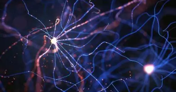 Thousands of Artificial Neurons are connected via an Adaptive Photonic Neural Network