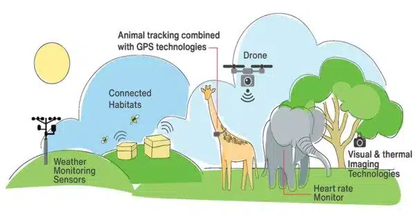 Using Artificial Intelligence to Track Animal Behavior