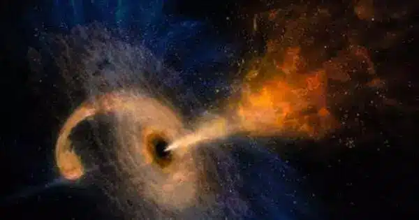 VERA reveals the Surroundings of Rapidly expanding Black Holes