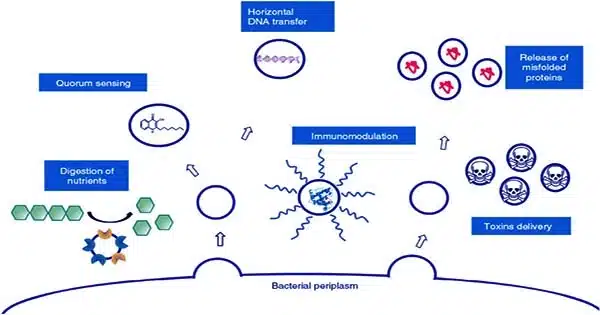 Vesicles