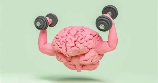 Exercise can improve Brain Health