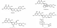 Silylgermane – an inorganic compound