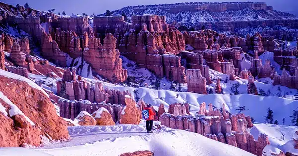A-Record-Breaking-Number-of-Hoodoos-Can-be-Found-at-Bryce-Canyon-1