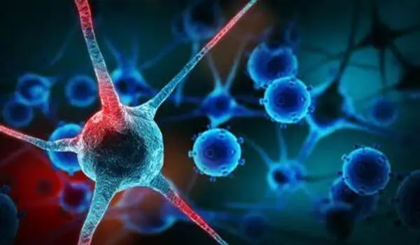 A study finds a molecular mechanism related to neuronal death