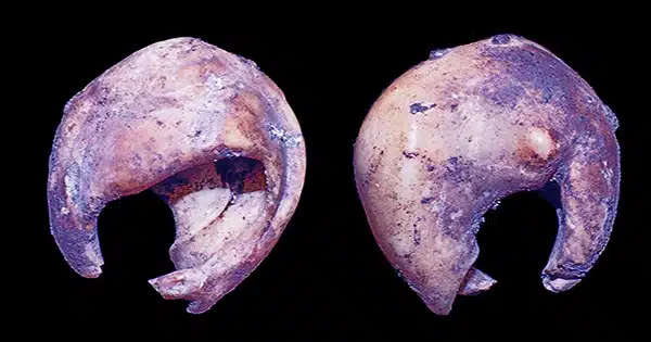 Archaeologists Discovered the Oldest Known Bead in the Americas