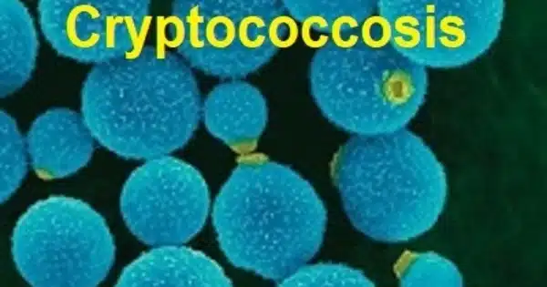 Improved Detection and Treatment for Cryptococcosis