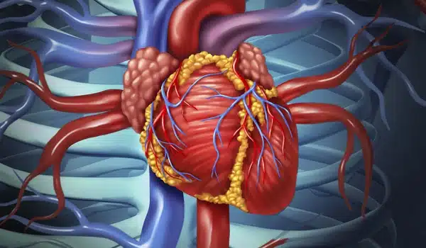 New-Research-Identifies-Biological-Causes-of-Heart-Disease-Risk-1