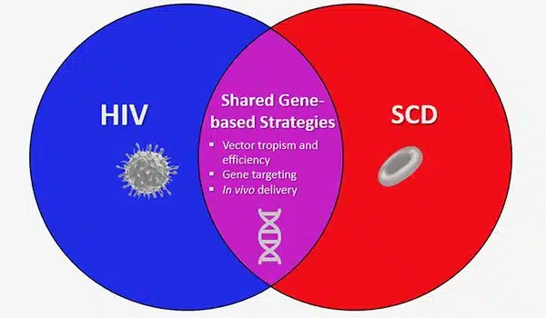 New trial highlights incremental progress towards a cure for HIV-1