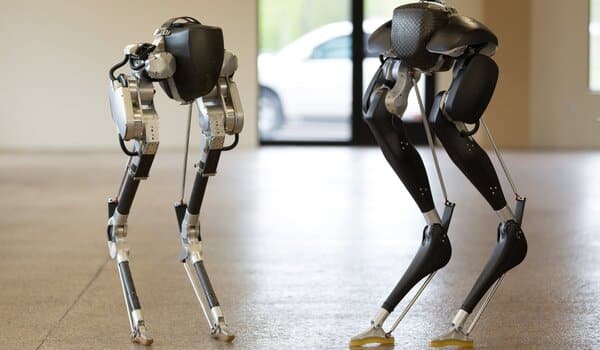 Scientists design a two-legged robot powered by muscle tissue